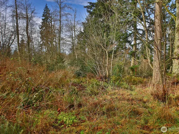 0 Goss Lake Road, Freeland, WA 98249