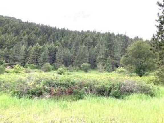 2nd image of 20XX Northport Flat Creek Rd