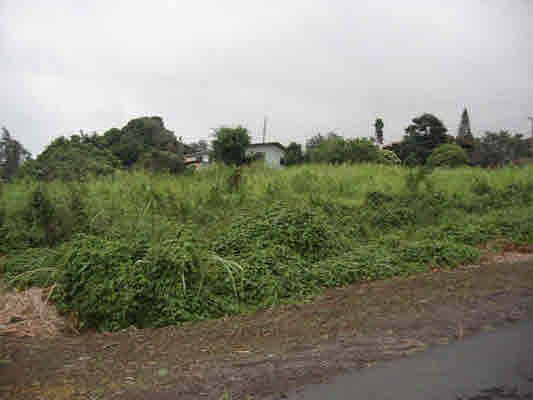 1st image of Ili Ili Pl Lot 1-G-1