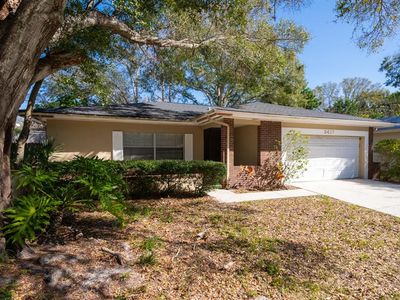 2417 E Orangehill Ave, Palm Harbor, FL, 34683