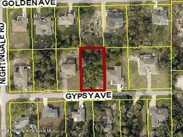 10439 Gypsy Ave, Weeki Wachee, FL 34613