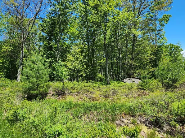 LOT 27 Blue Heron Way, Hawley, PA 18428