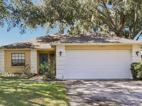 17802 Fallowfield Dr, Lutz, FL 33549
