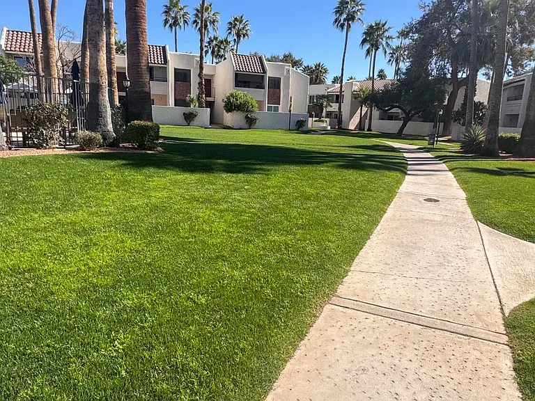 7350 N Via Paseo Del Sur #O202 — Photo 18