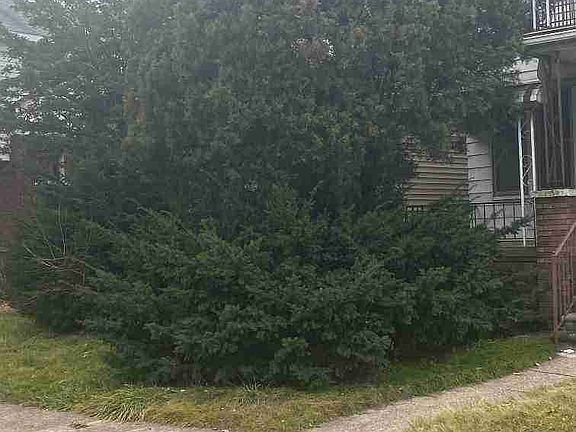 7799 Burnette