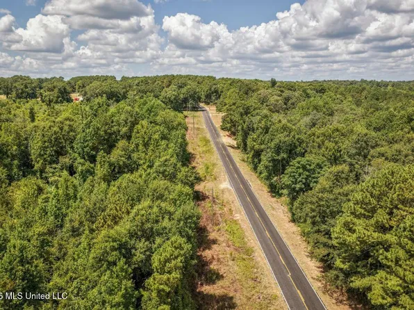 Joe Booth Rd, Collins, MS 39428