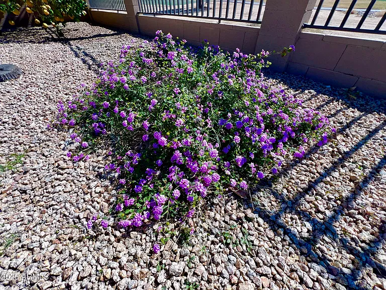 14313 W Alvarado Dr — Photo 23