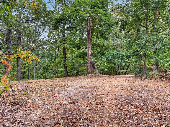 5th image of 218 Forest Ridge Ct