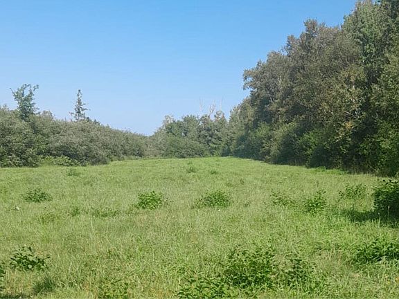 2nd image of 1013 River John Rd