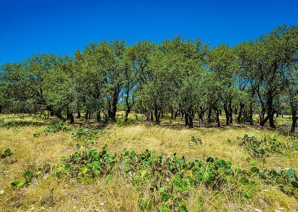 230 Big Buck Cir, Mountain Home, TX 78058 MLS 109410 Zillow