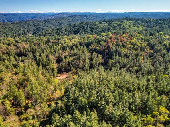 5132 Spanish Dry Diggins Rd, Greenwood, CA 95635