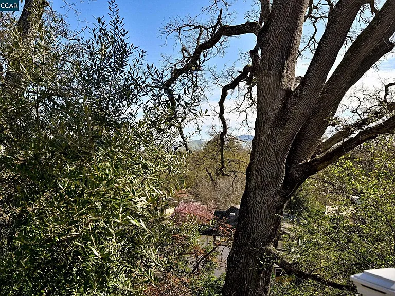 105A Alamo Ranch Rd — Photo 5
