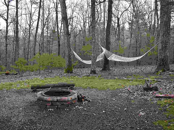 3rd image of 19 Willow Ln