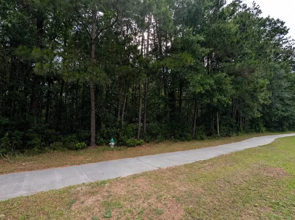 0 Harris Trail Rd, Richmond Hill, GA 31324