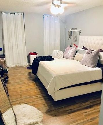 4th image of 1150 Hillsboro Mile APT 212