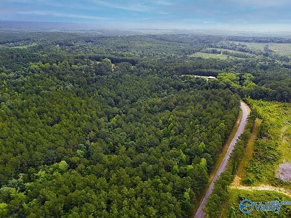 3rd image of County Road 338