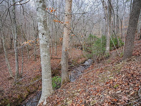 4th image of Troublesome Creek Rd