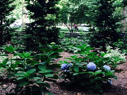 Rented by Citi Habitats | media 25