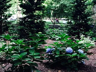 Rented by Citi Habitats