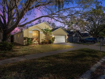 2524 Clareside Dr, Valrico, FL, 33596