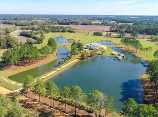 359 Thompson Road Cir, Ty Ty, GA 31795