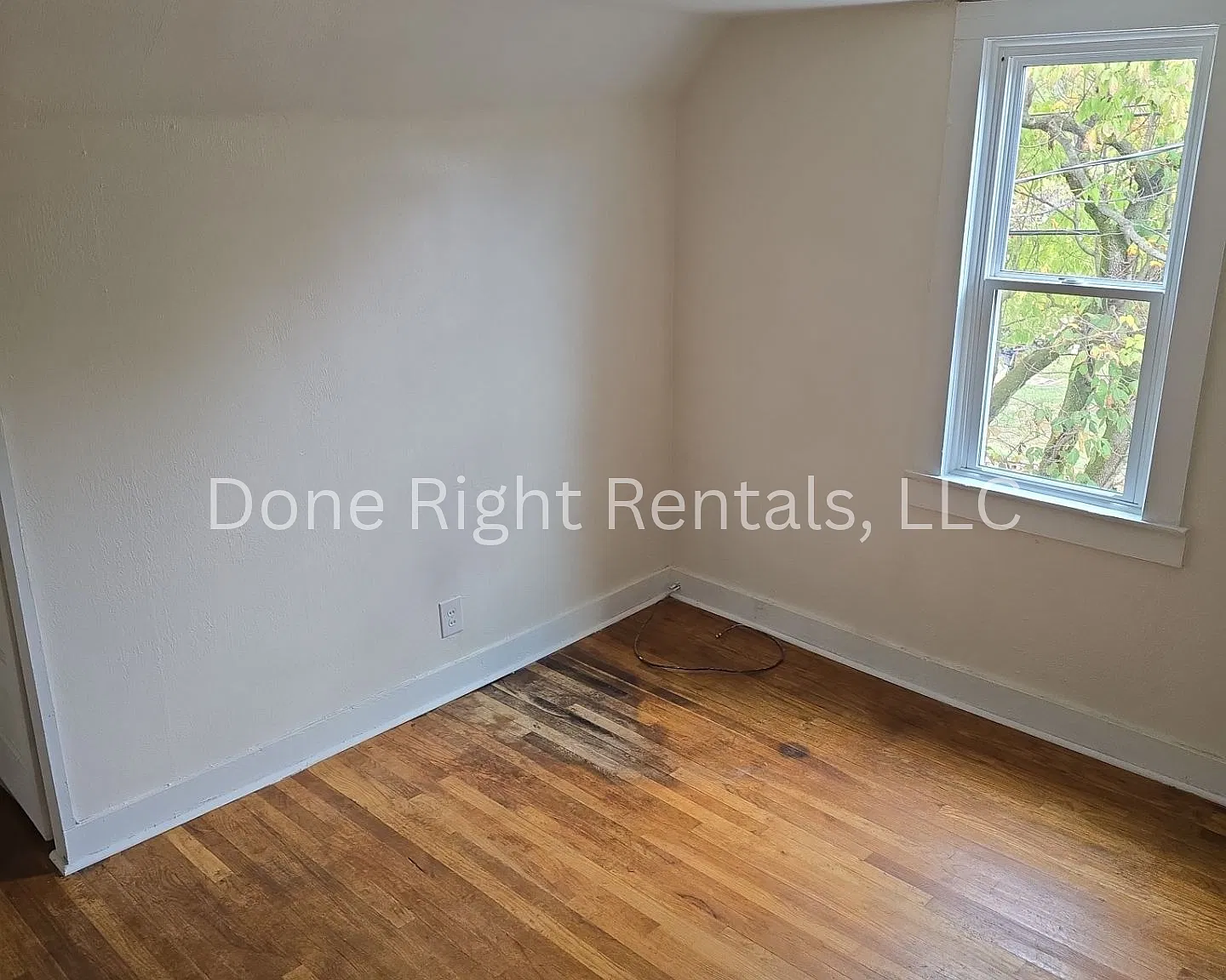 1 bed, $675 — Photo 3