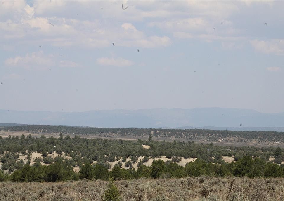 2nd image of Pajarito Rd