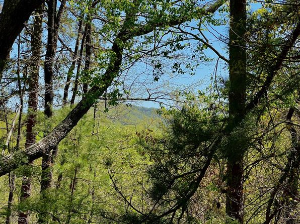 694 Railey Rd, Ranger, GA 30734