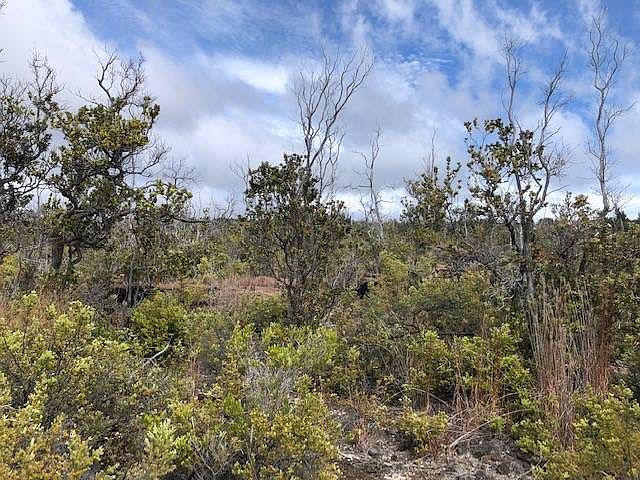 1st image of Palm Pkwy Lot 30