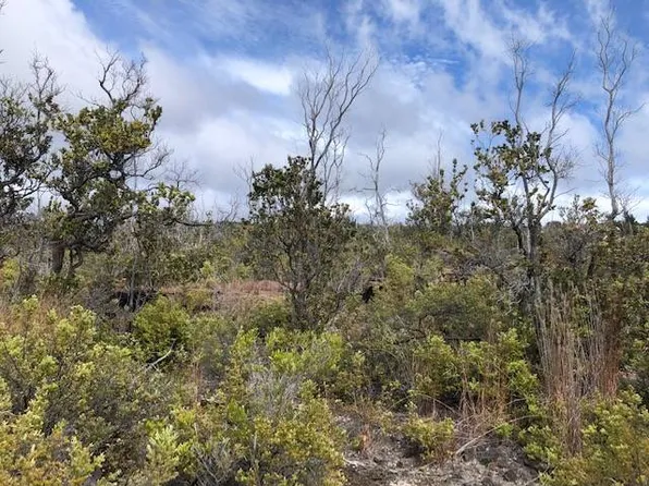 Palm Pkwy Lot 30, Ocean View, HI 96737