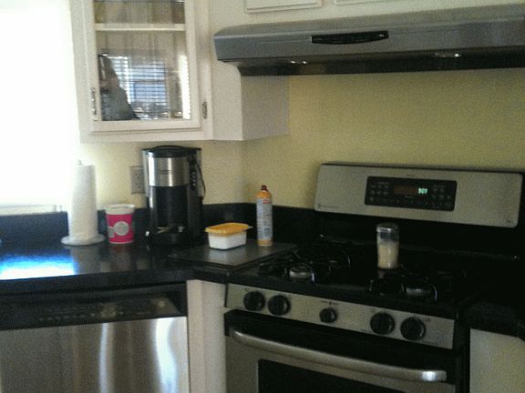 4th image of 176 Livingston Way
