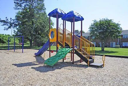Diamond Springs — Photo 14
