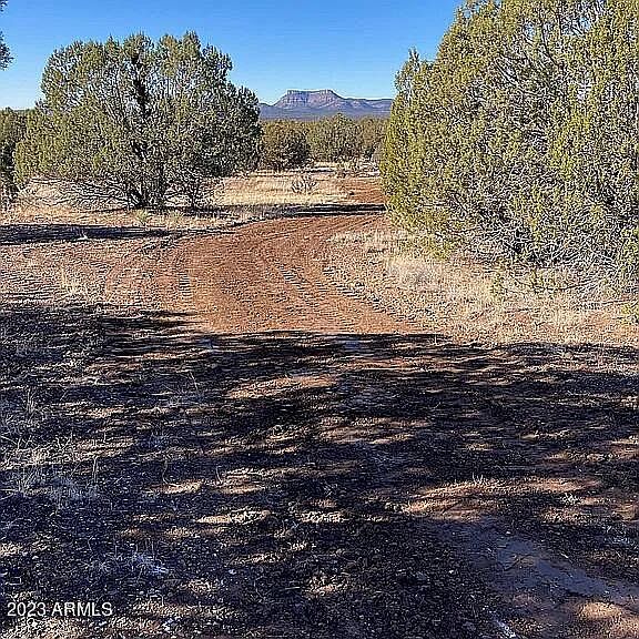 565 N Caliente Wind Way 565, Seligman, AZ 86337 MLS 6553352 Zillow