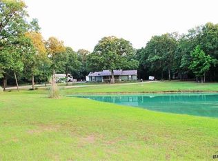 8650 Us Highway 67 E, Cookville, TX 75558