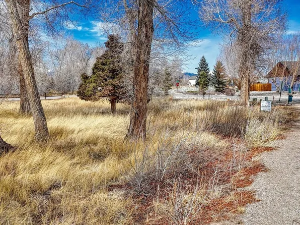 1101 E Ouray Avenue LOT 1, Poncha Springs, CO 81242