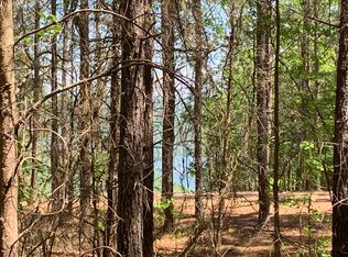 215 Basin Trl #1241, Guild, TN 37340