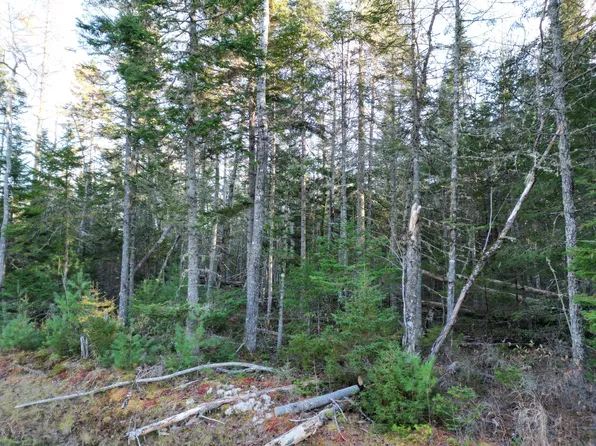 42 Southgate Road, Old Town, ME 04468