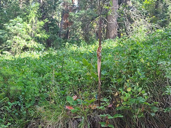 5th image of 30 E Pine Creek Rd S
