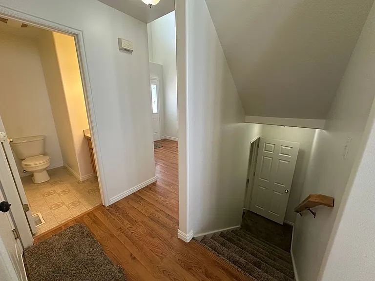 2511 Goodnight Dr — Photo 57
