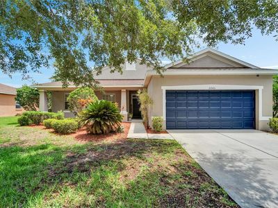 11045 HOLLY CONE DRIVE, Riverview, FL, 33569