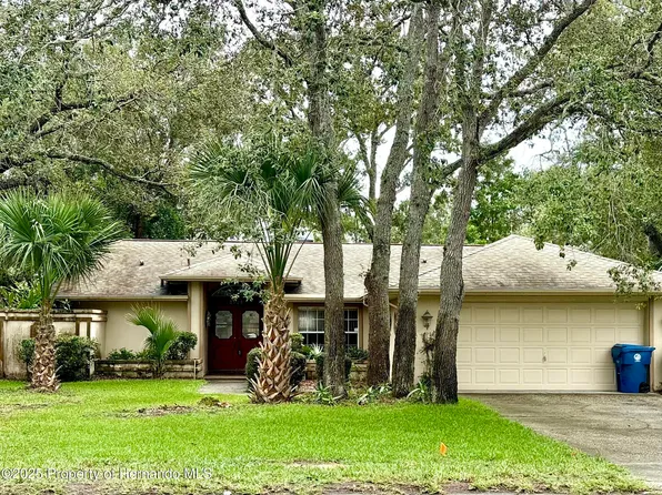 7928 Rhanbuoy Rd, Spring Hill, FL 34606