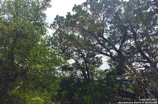 1st image of 1785 Trail Pass Dr