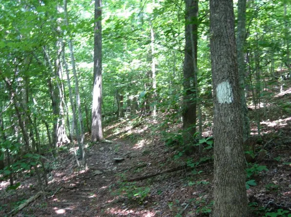 3.25 Ac Wilscott Mountain Drive, Murphy, NC 28906