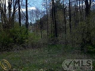 2nd image of 35 Abby Brook Ln