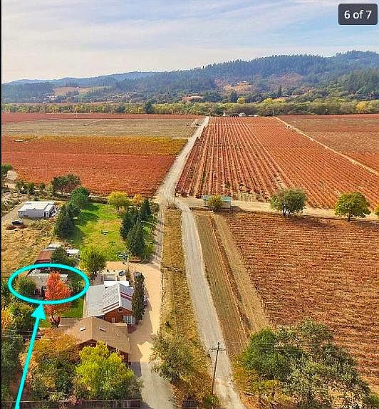 Cottage nestled on 1.5 acre property surrounded by vineyards with another home and barn.