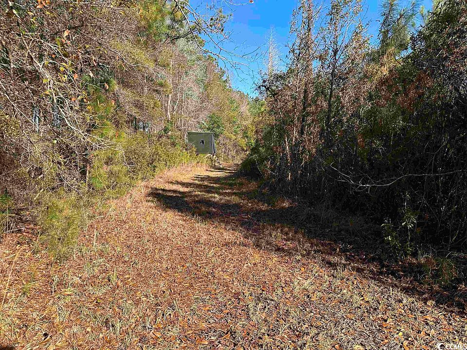 TBT Eddie Woods Rd., Greeleyville, SC 29056 Zillow