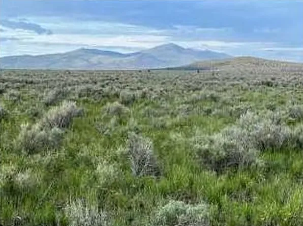 9999 Prairie Dr, Termo, CA 96132