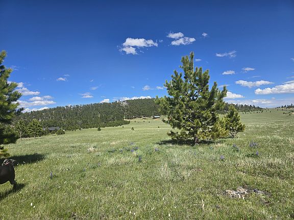4th image of Yarrow Ln