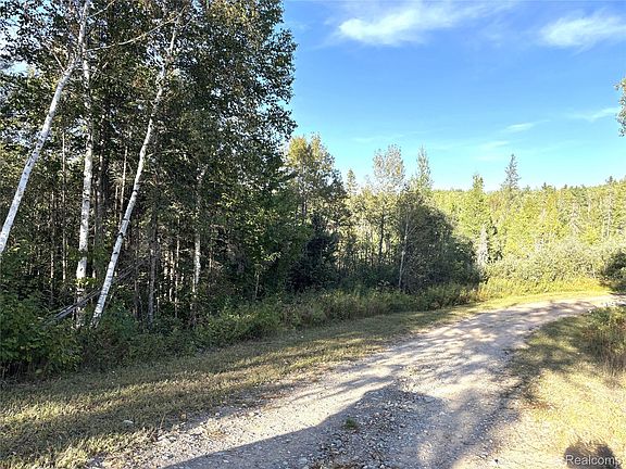 3rd image of Vl 79 Acres Premo Dam Rd