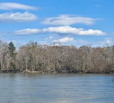 5th image of 2377 Chipola Riv